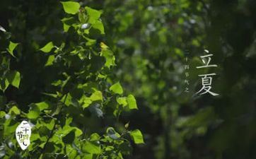 雍容大方，天然生成的外交能手的三大星座，领导能力很强