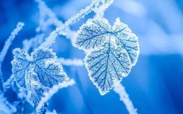 霉运来袭！近期这些星座要当心了