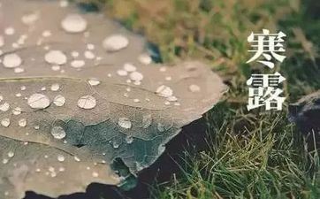 2021年10月脱单最简单的星座