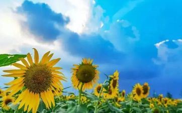 2023年中秋节会有夸姣艳遇的星座是哪些