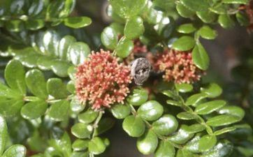 懂得人情世故，最会说话，处事油滑的三大星座