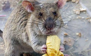 12星座的延迟症怎么治 12星座的延迟症怎么治