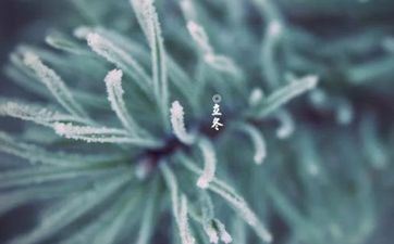 这些星座女对自己的胸部不满意