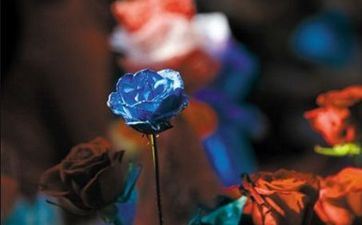 干事决断，绝不牵丝攀藤的星座，工作爱情都比较顺！