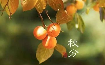 12星座谁的嘴巴最甜