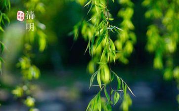 双商在线日子小事挥洒自如的星座