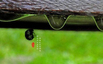 专情的星座随时刻加深，爱越深入