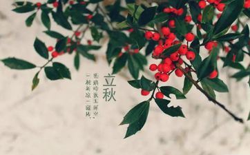 2021年立秋财气暴升的星座 2021年立秋财气暴升的星座