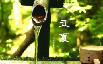 不肯当将军，只愿做自在兵的星座