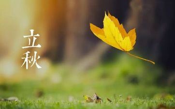 出去逛街从来不化装的星女有哪些