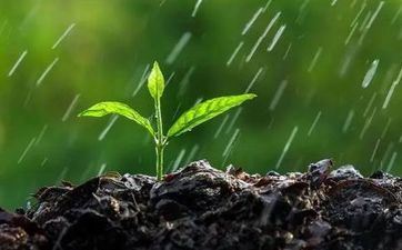 微博会有小号的是哪些星座