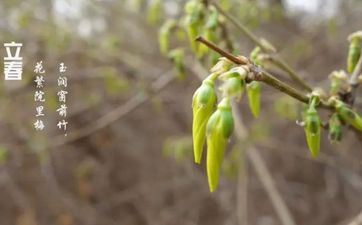 哪些星座老板是你的贵人