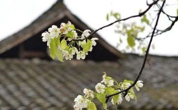 五月这些星座工作有新起色