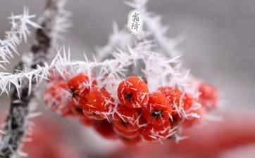 能着手就绝对不动口的星座都有谁呢