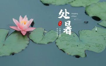 这些星座压力不会转换为动力 反而简单成魔