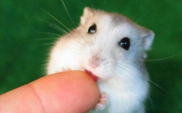 2024爆富的星座 2024财气旺盛好好挣钱的星座