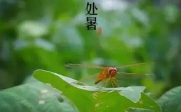 最有或许赚大钱发大财的星座有你吗