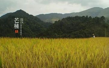 2021年芒种烂桃花扎堆的星座