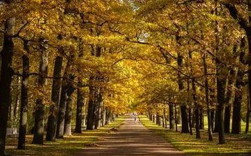 假日孤独症患者星座