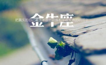 2023金牛运势 金牛座的女生和射手座的男生配吗