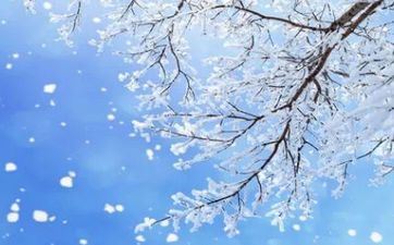 仁慈正派的星座会因何雷霆大怒