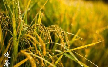 2022年爱情欠好的星座 遇到了爱情劫 2022年爱情欠好的星座 遇到了爱情劫