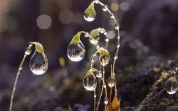 梦见章鱼追着自己