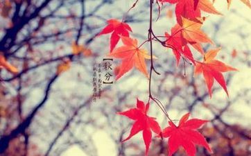 2024年偏财气极佳的星座女