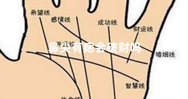 鼻尖有痣会破财吗