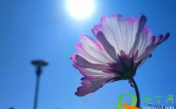 悲伤时最失常的星座