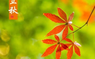 2024年下半年不缺钱的星座 2024年命运最旺的三大星座