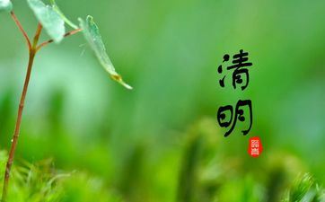 随性而往 随遇而安 全部随缘 绝无仅有的星座