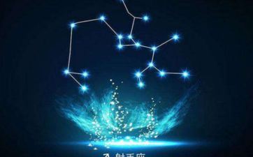 射手座2023年11月婚姻运走向