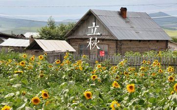 2021年立秋烂桃花扎堆的星座