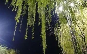 福泽深沉 迟早成财主的星座