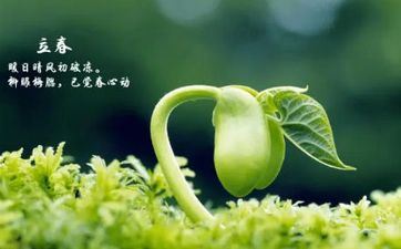 梦见鱼塘很多大鱼跳起来了