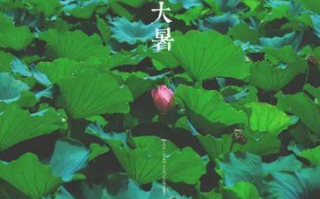 9月20日是什么星座