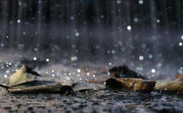 12星女最易获得成功的作业 12星女最易获得成功的作业