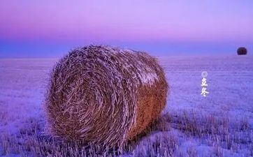 哪个星座的女生最花心 哪个星座的女生最花心