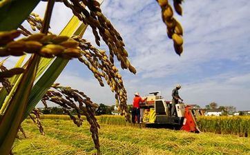 三方四正会照代表什么意思
