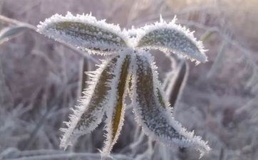 2024年学业最好星座女 2024年学业最旺的星座