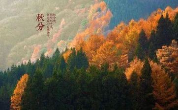 什么星座的男生最浪漫 什么星座的男生最浪漫