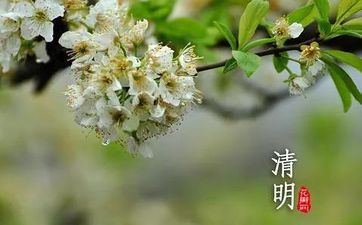 身处窘境淡定抗压试炼展现出特殊实力的星座