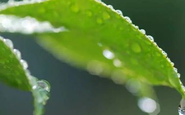 不喜爱活在曩昔 活得坦荡的星座