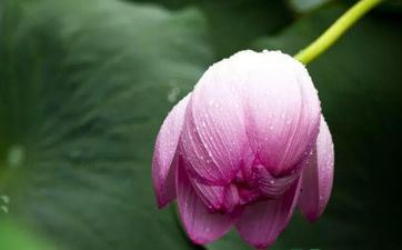 哪些星座男会对女朋友很粗鲁