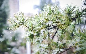 10大恐惧的星座生理需求最激烈的星座女