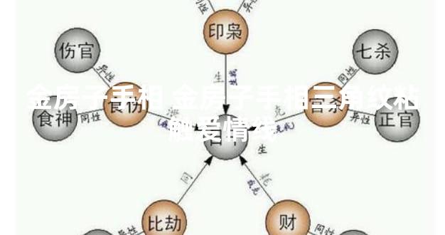 金房子手相 金房子手相三角纹粘触爱情线