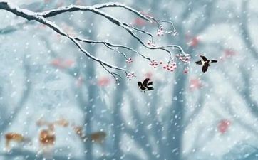 哪些星座绝不会被实际磨平棱角