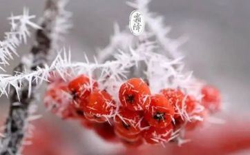 3月17日是什么星座