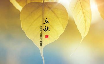 到了炎炎夏日有超卓体现会步步高升的四大星座